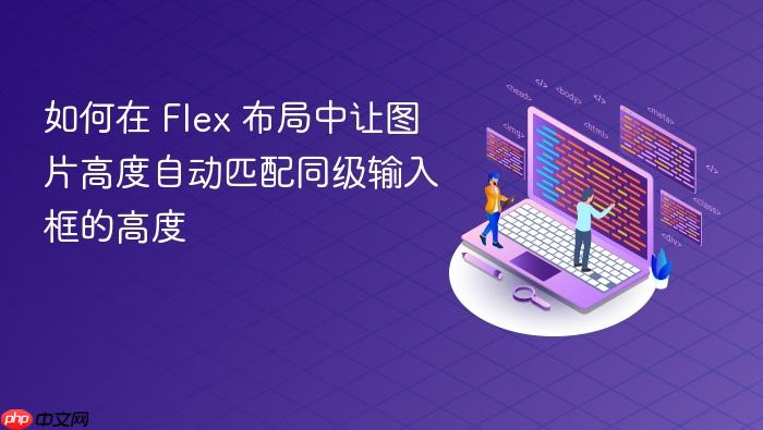 如何在 Flex 布局中让图片高度自动匹配同级输入框的高度