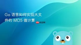 go 语言如何实现大文件的 md5 值计算