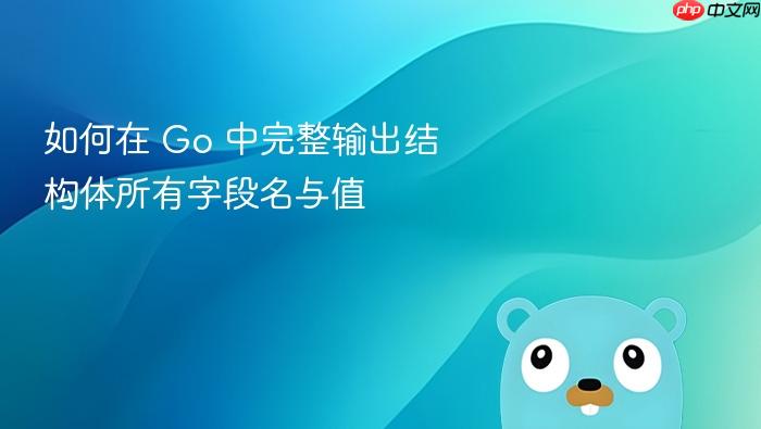 如何在 Go 中完整输出结构体所有字段名与值