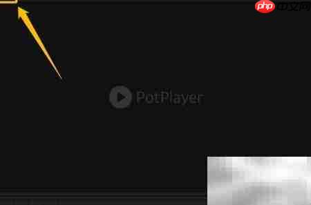 PotPlayer开启图形滤镜教程