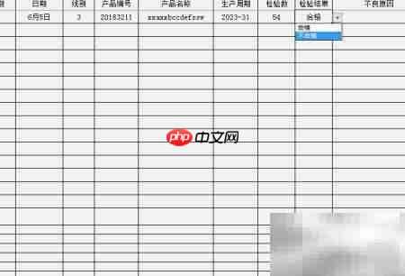 产品终检统计表设计指南