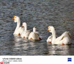 vivo X300 Ultra 全面评测 手机里的“专业 V 单”究竟有多能打?