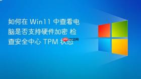 如何在 win11 中查看电脑是否支持硬件加密 检查安全中心 tpm 状态