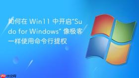 如何在 win11 中开启“sudo for windows” 像极客一样使用命令行提权