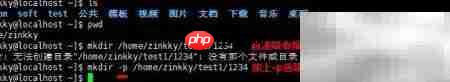 mkdir命令创建目录
