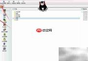 财务软件期末调汇操作指南