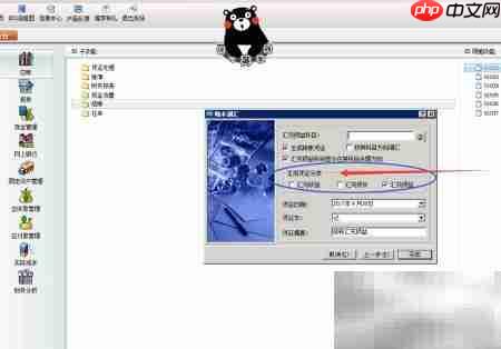 财务软件期末调汇操作指南