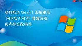 如何解决 win11 系统提示“内存条不可写” 修复系统级内存分配错误
