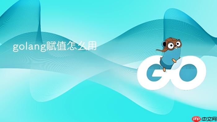golang赋值怎么用