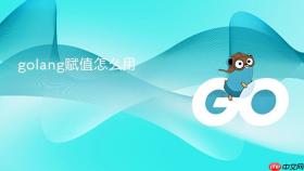 golang赋值怎么用