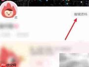 火花Chat星座设置方法