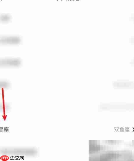 火花Chat星座设置方法