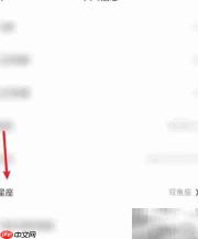 火花Chat星座设置方法