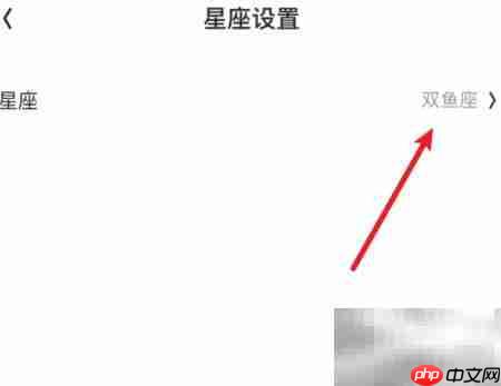 火花Chat星座设置方法