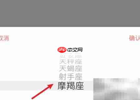 火花Chat星座设置方法