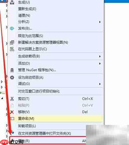 VS编译错误:强签名缺失