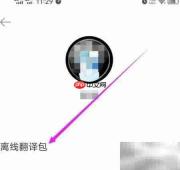 搜狗翻译离线包下载指南