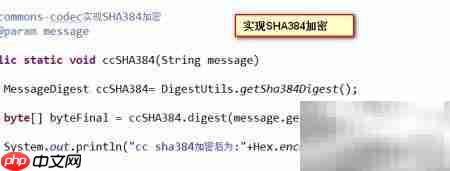 Java实现SHA加密