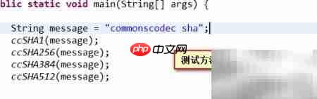 Java实现SHA加密