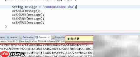 Java实现SHA加密