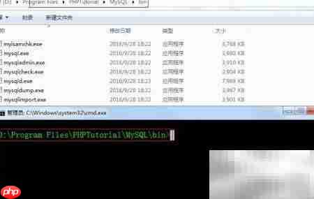 MySQL数据库导出导入技巧