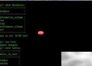 MySQL数据库导出导入技巧