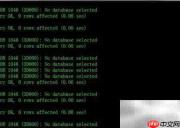 MySQL数据库导出导入技巧