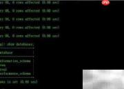 MySQL数据库导出导入技巧