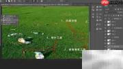 5大必备修图神器推荐
