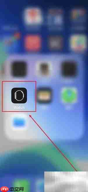 Apple Watch报时设置方法