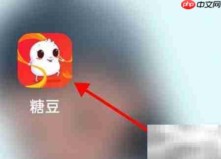 糖豆舞曲查看指南