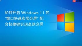 如何开启 windows 11 的“窗口快速布局分屏” 配合快捷键实现高效分屏