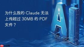 为什么我的 claude 无法上传超过 30mb 的 pdf 文件?