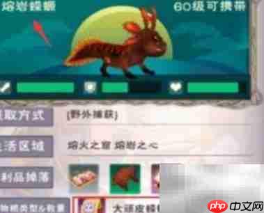 熔岩蝾螈饲料配方大全