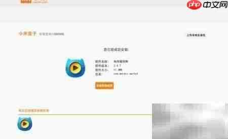 小米盒子Mini安装软件教程