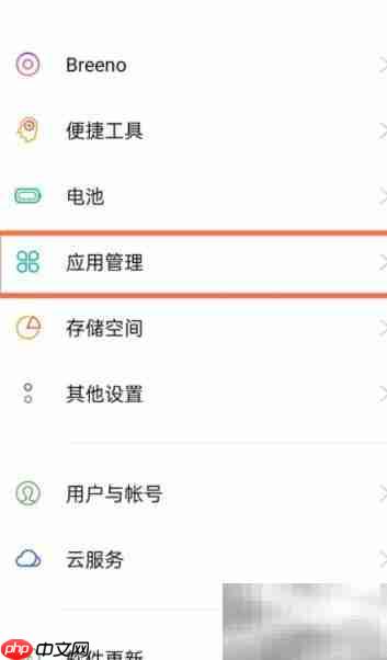真我GT应用分身设置指南