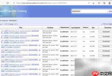 Win10补丁按需下载安装指南