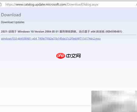 Win10补丁按需下载安装指南