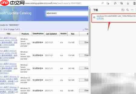 Win10补丁按需下载安装指南