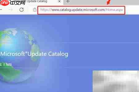 Win10补丁按需下载安装指南