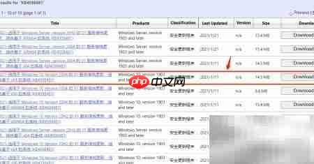 Win10补丁按需下载安装指南