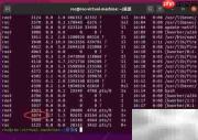 Ubuntu无法获取dpkg锁解决