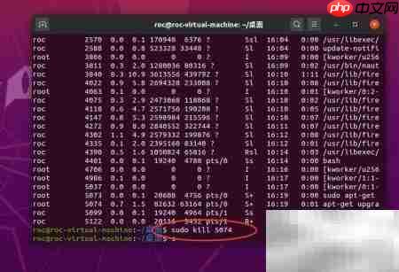 Ubuntu无法获取dpkg锁解决