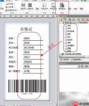 批量生成PDF条码标签