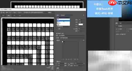 TIF转JPG方法指南