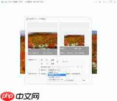 如何在2345看图王开启RAW文件原图查看