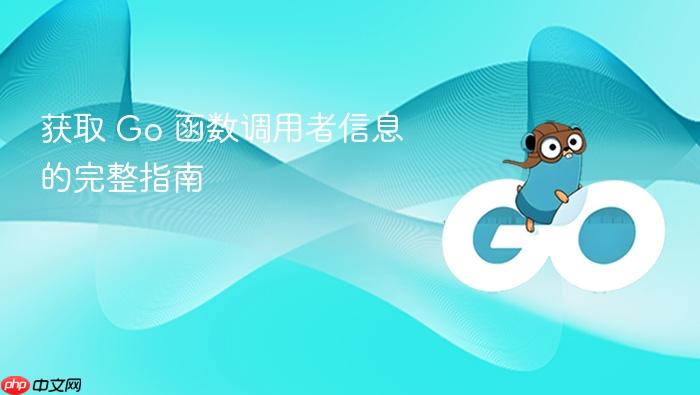 获取 Go 函数调用者信息的完整指南