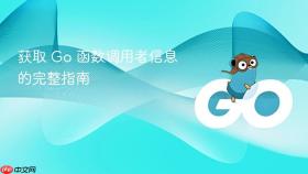 获取 Go 函数调用者信息的完整指南
