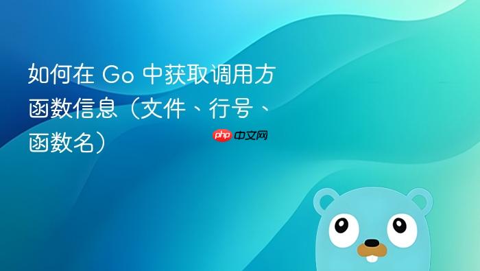 如何在 Go 中获取调用方函数信息(文件、行号、函数名)