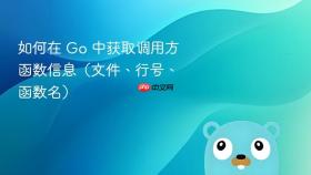 如何在 Go 中获取调用方函数信息(文件、行号、函数名)
